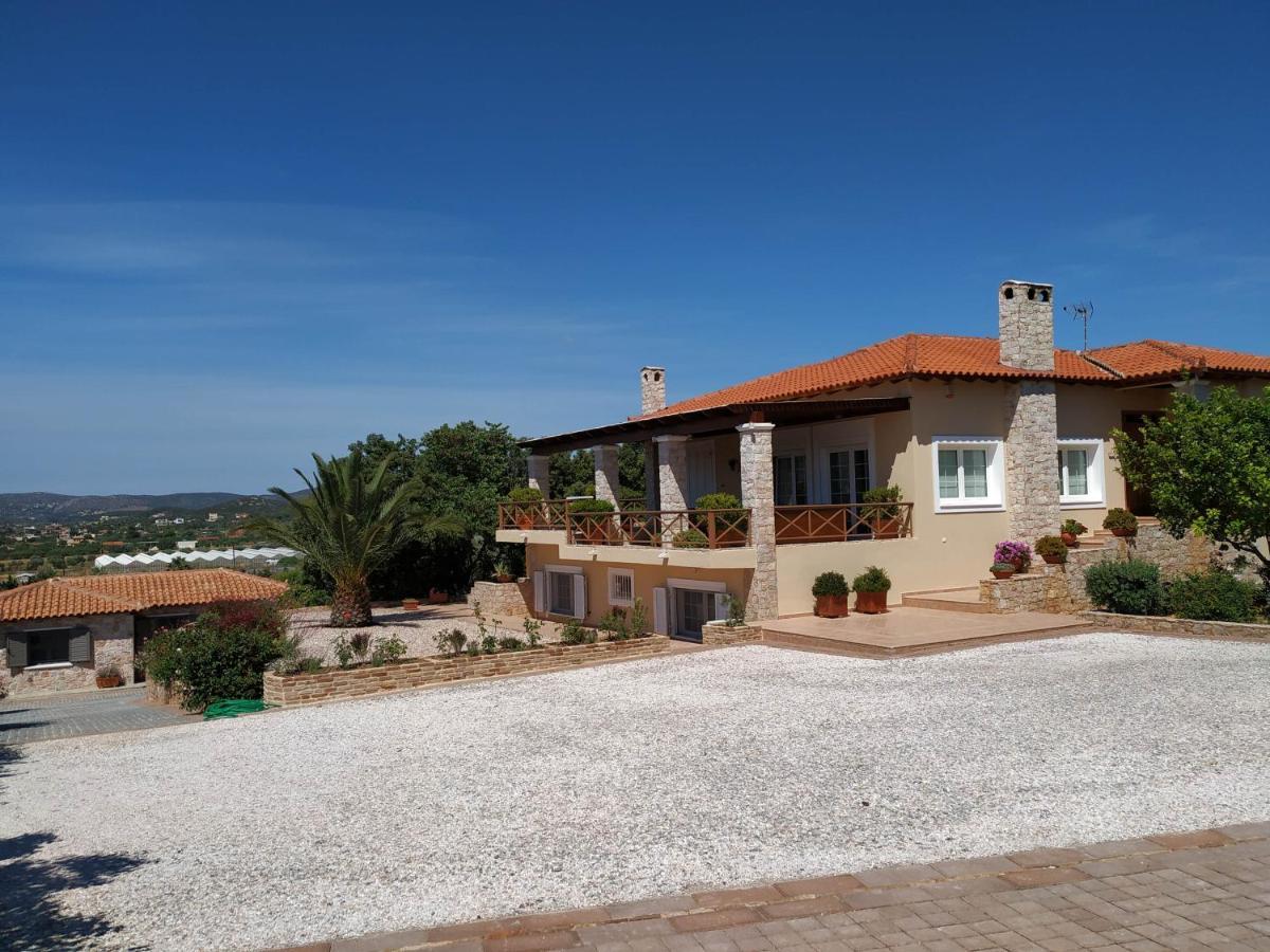 Villa Vena Palaiá Fókaia Exterior foto